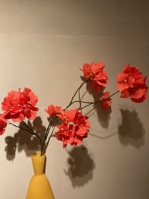 Bougainvillea tak 111 cm coral