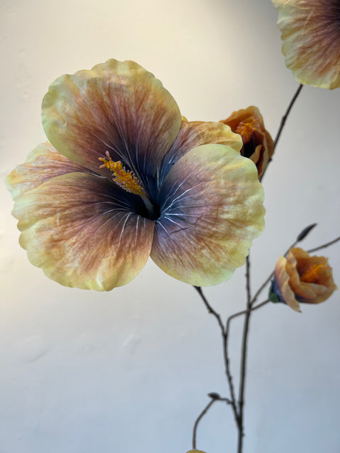Hibiscus groot okergeel 112 cm