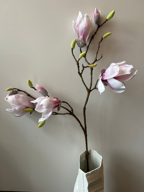 Magnolia tak roze 95 cm