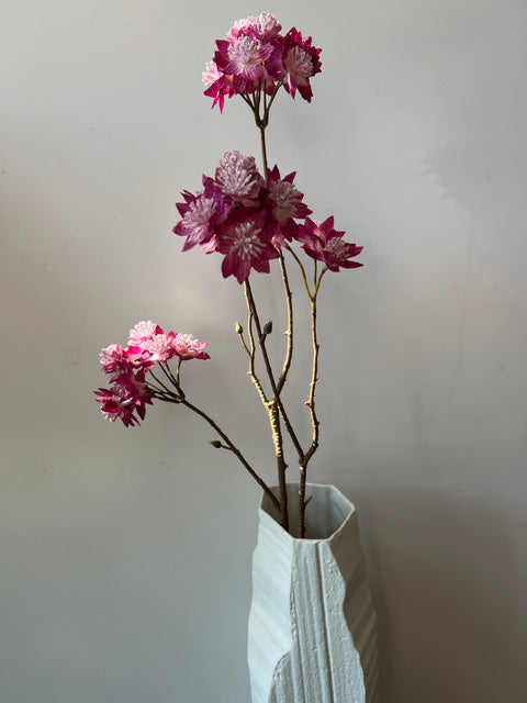 Zeeuws knoopje tak 70 cm burgundy