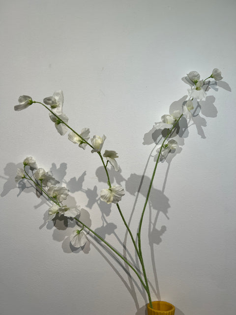 Lathyrus spray white 103 cm