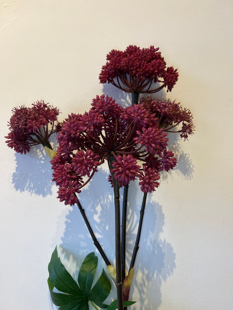 Engelwortel x4 groot magenta 130 cm