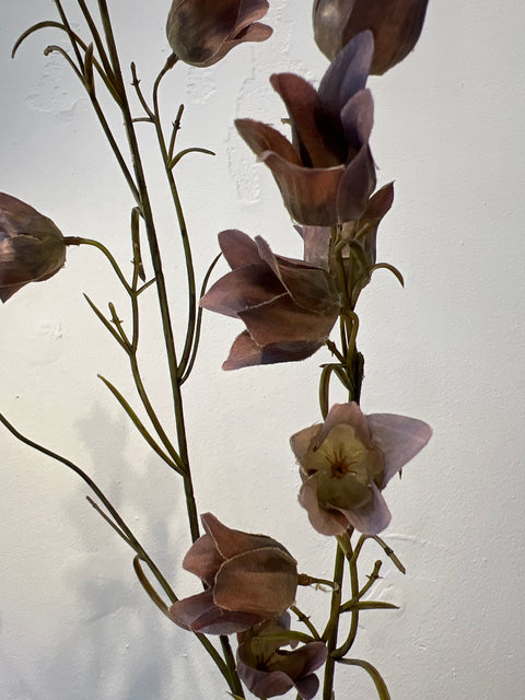Campanula tak mauve 107 cm