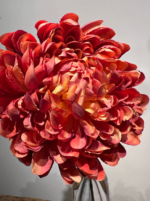 Chrysant Large Mum  orange  65 cm
