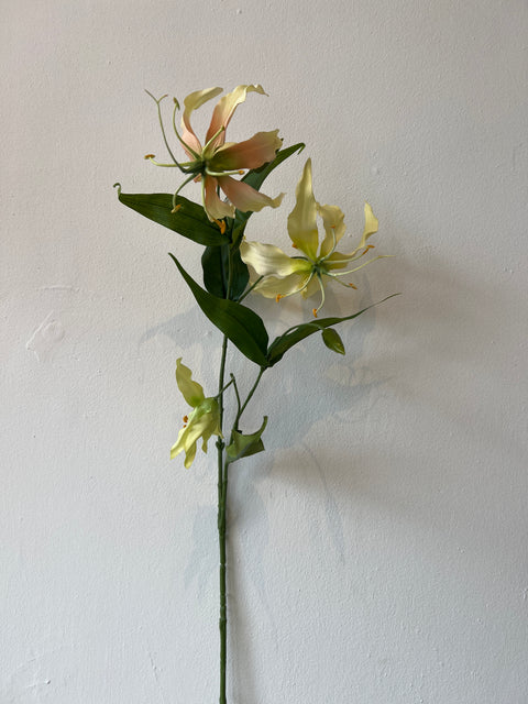 Gloriosa spray cream/peach 75 cm