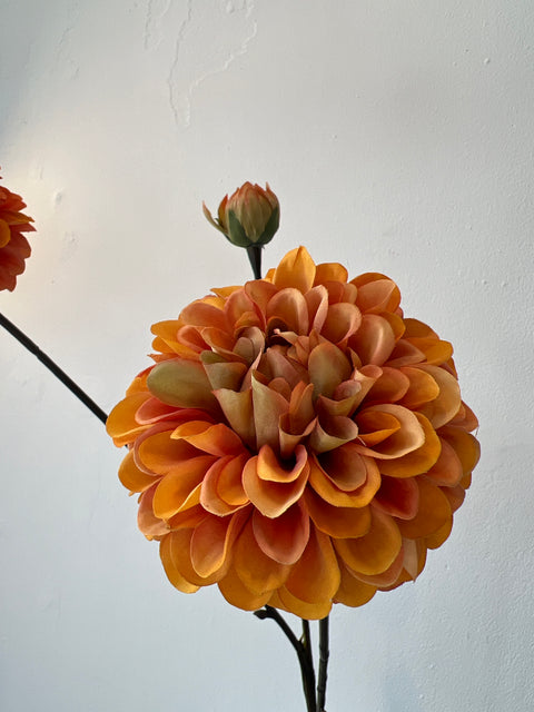 Dahlia x3 oranje 75 cm
