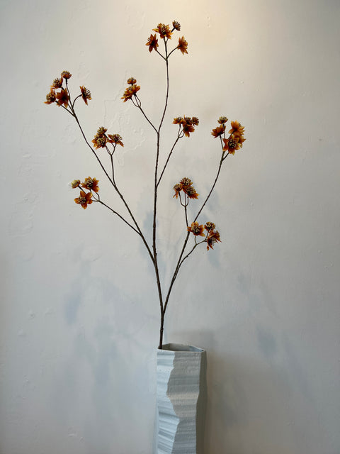 Zeeuws knoopje groot oranje 119 cm