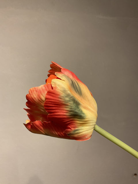Tulp steel 84 cm oranje