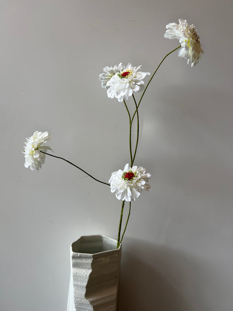 Zinnia spray x5 wit 105 cm