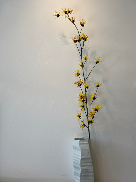 Hamamelis geel 153 cm