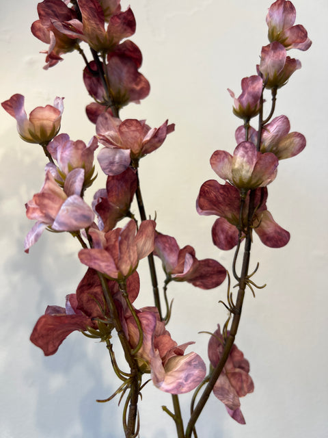 Delphinium roze 110 cm