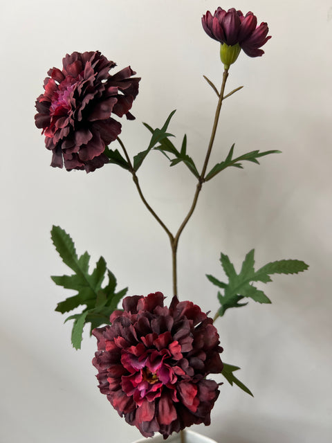 African Marigold spray 70 cm burgundy