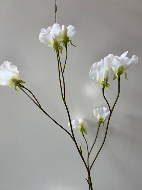 Lathyrus spray wit/groen 92 cm
