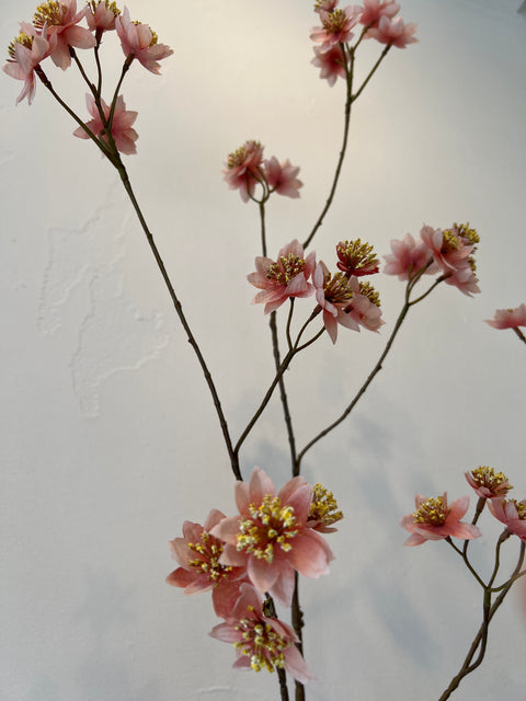 Zeeuws knoopje groot roze 119 cm