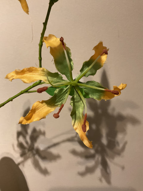 Gloriosa spray 64 cm yellow