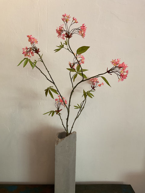 Esdoorn tak roze 110 cm