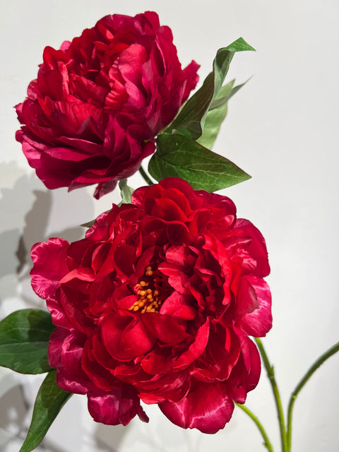 Pioenroos spray   donker roze   80 cm