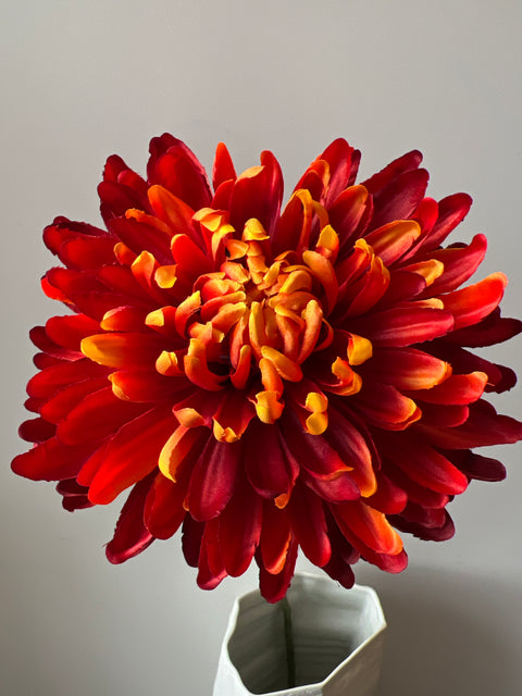 Chrysant rood 65 cm