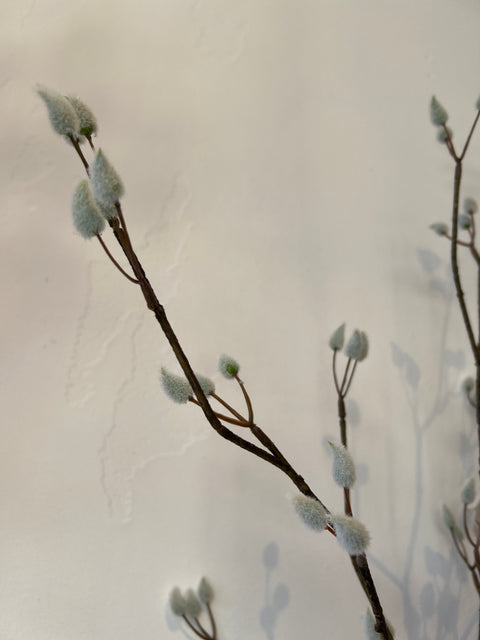 Wilgenkatjes tak bruin witte katjes 125 cm