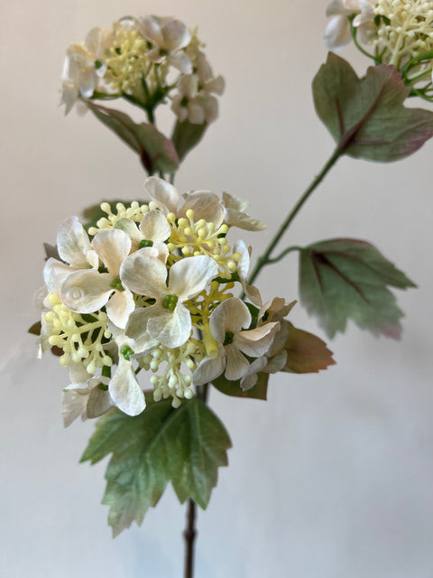 Hortensia x3 vanille 82 cm