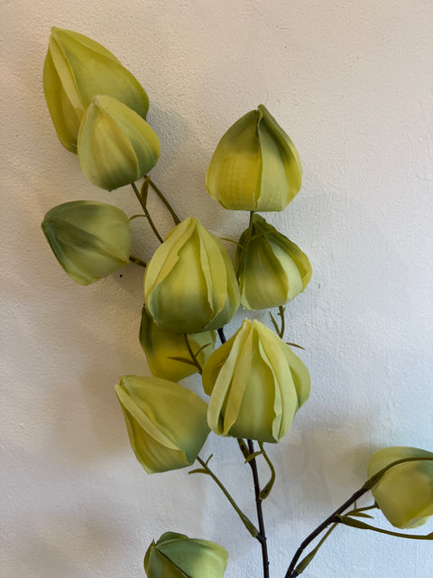 Physalis tak x4 groen 90 cm