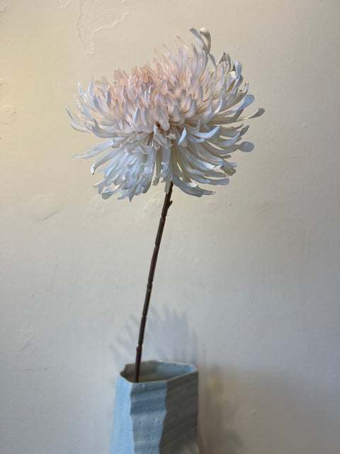 Chrysant crème 72 cm