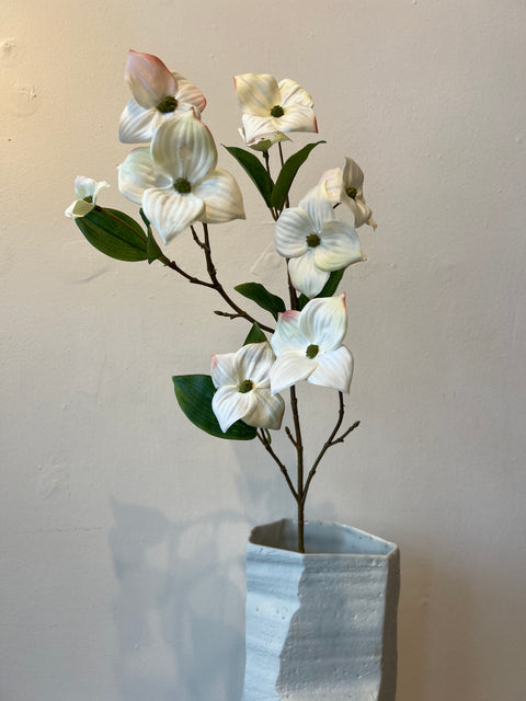 Kornoelje tak wit 68 cm