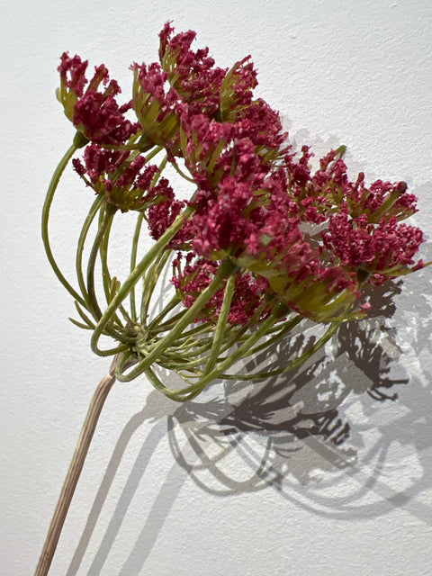 Dille donker roze 72 cm (witte steel)