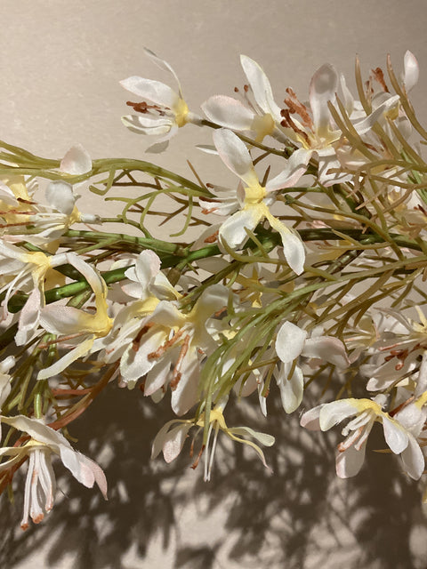 Asparagus bloem 115 cm crème