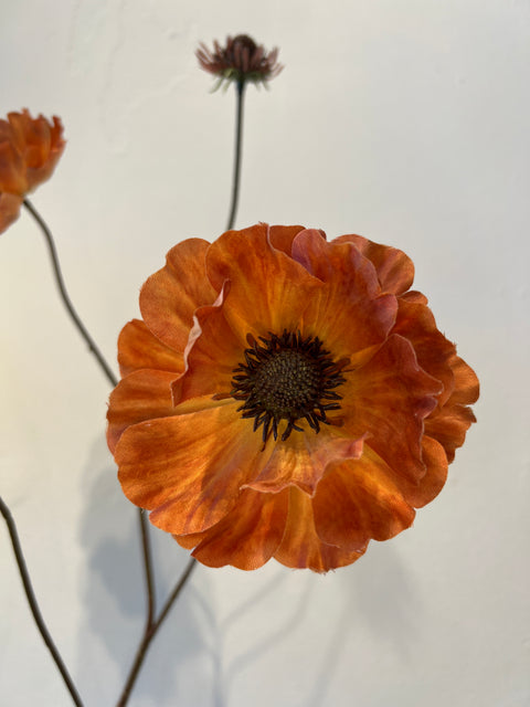 anemoon spray oranje 96 cm