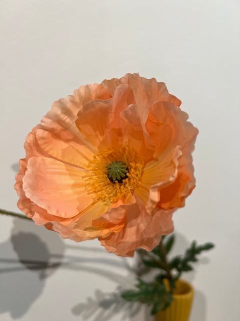 Papaver spray zalm  75 cm