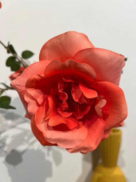 Roos spray orange 65 cm