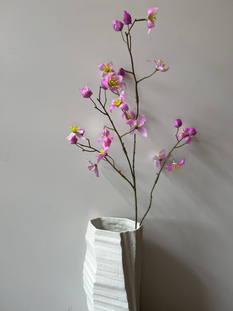 Thalictrum roze 78 cm