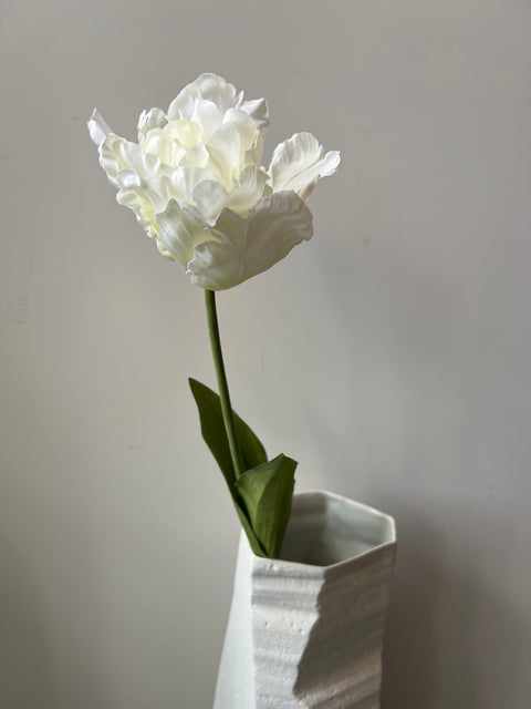 Tulp papagaai wit 66 cm