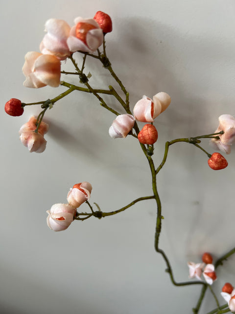 Kardinaalsmuts tak cream/oranje  90 cm