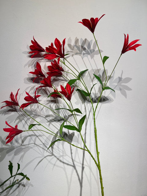 Tiger Lily spray rood 112 cm