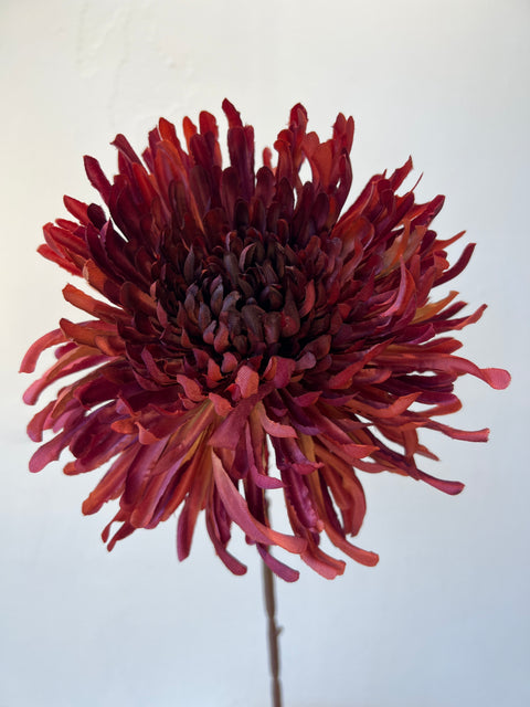 Chrysant bordeaux 72 cm