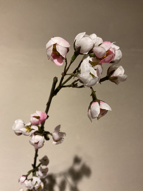 Bloesem tak lang 188 cm roze