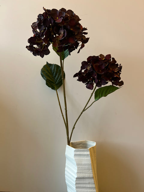 Hortensia bollen x2 bordeaux 82 cm