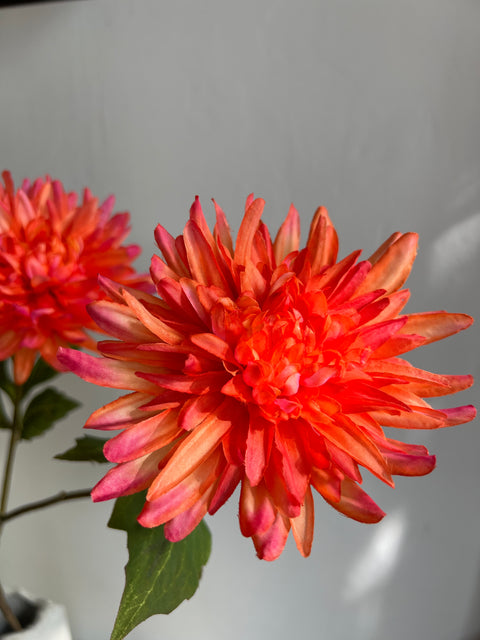 Chrysant mum spray 105 cm coral