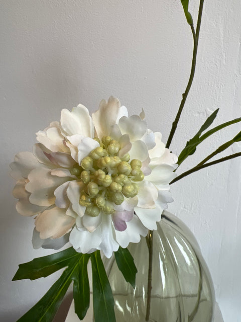 Scabiosa spray wit 62 cm