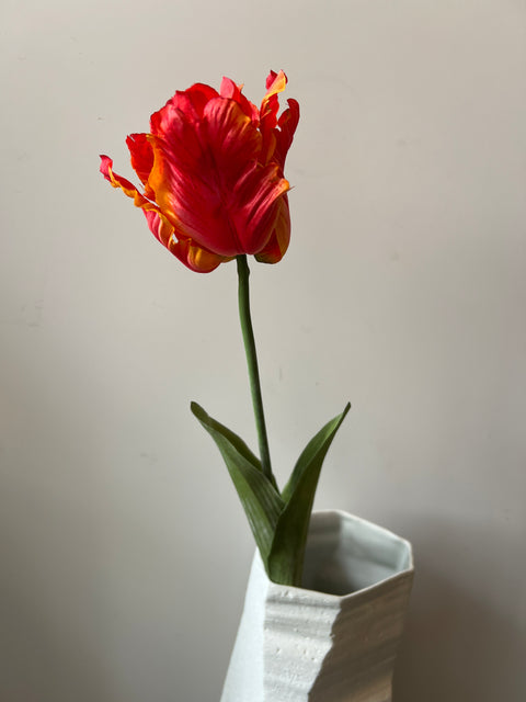 Tulp papagaai oranje 66 cm