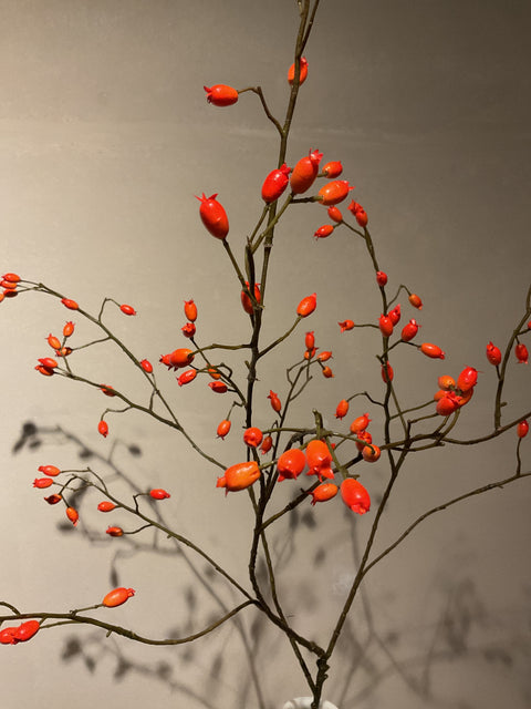 Rozenbottel tak 105 cm oranje bottels