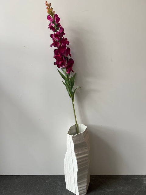 Leeuwenbek beauty 93 cm