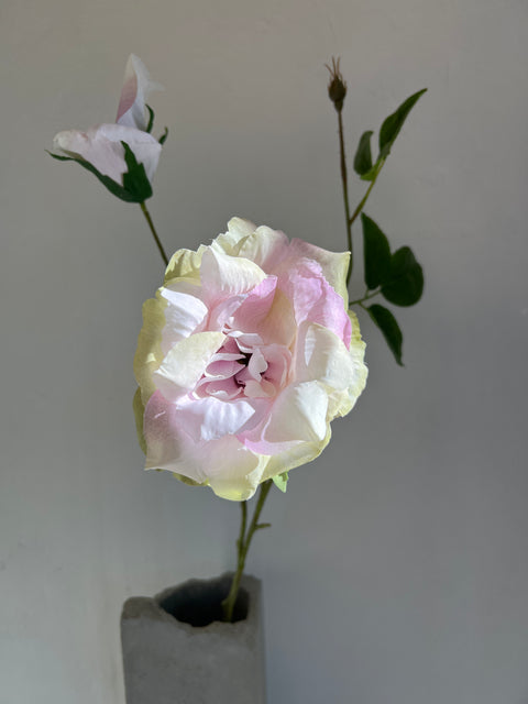 Roos liza spray x3  purple  80 cm