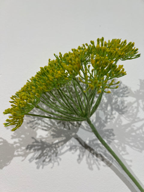 Dille enkel geel 105 cm