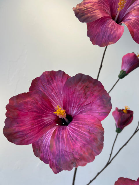 Hibiscus groot fuchsia 112 cm