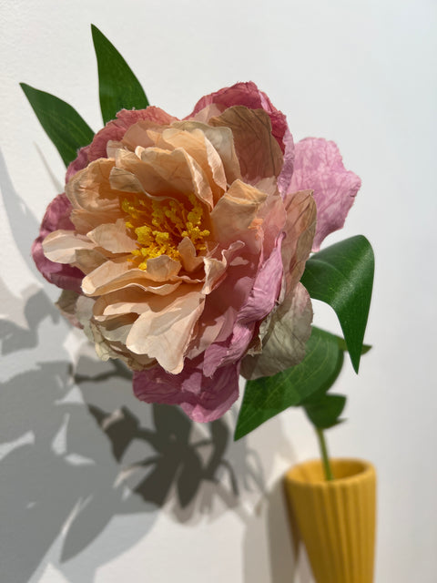 Pioenroos lavendel 65 cm