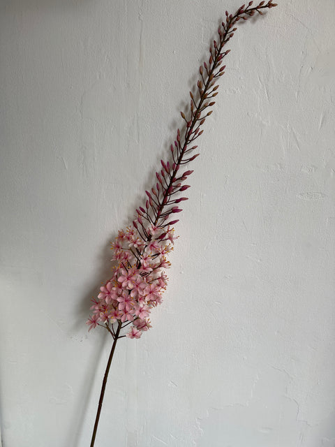 Eremurus steel roze 163 cm lang