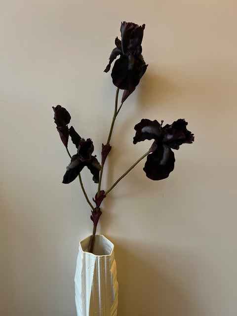 Iris tak bordeaux 102 cm